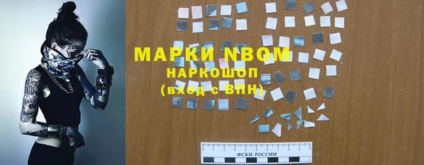 стафф Богданович