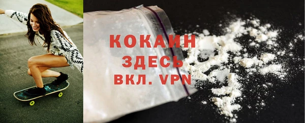 стафф Богданович